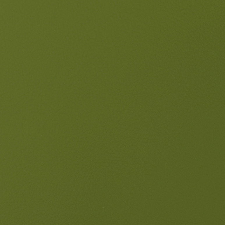ABBEYSHEA Hewitt 016 Kiwi Fabric