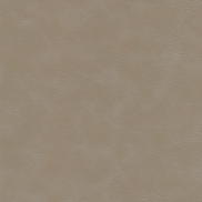Kravet Equine.11.0 Fabric