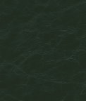 Kravet Equine.3.0 Fabric
