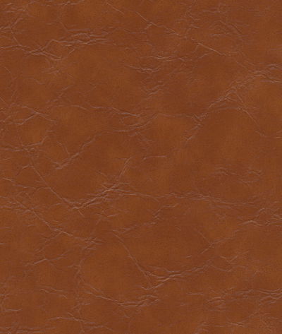 Kravet Equine.606.0 Fabric