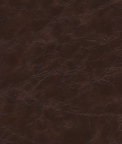 Kravet Equine.66.0 Fabric