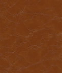 Kravet Equine.6.0 Fabric