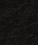 Kravet Equine.8.0 Fabric