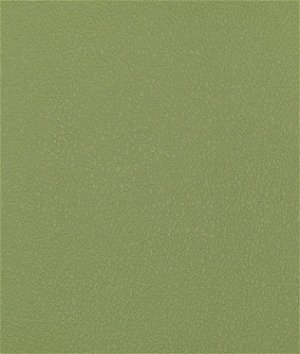 Nassimi Esprit Artichoke Green Vinyl