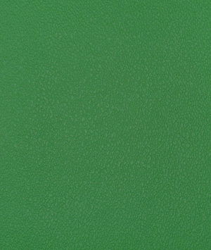 Nassimi Esprit Irish Spring Green Vinyl