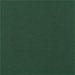 Nassimi Esprit Yew Green Vinyl thumbnail image 1 of 2