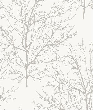 Etten Gallerie Winter Branches珍珠灰墙纸