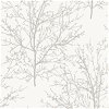 Etten Gallerie Winter Branches Pearl Grey Wallpaper - Image 1