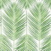 Seabrook Designs Marina Palm Summer Fern Wallpaper thumbnail image 1 of 4