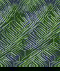 Seabrook Designs Marina Palm Moss Green & Blue Wallpaper