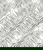 Seabrook Designs Marina Palm Daydream Grey Wallpaper