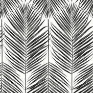 Seabrook Designs Marina Palm Ebony Wallpaper