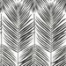 Seabrook Designs Marina Palm Ebony Wallpaper