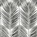 Seabrook Designs Marina Palm Ebony Wallpaper thumbnail image 1 of 5