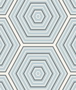 Seabrook Designs Hex Topography Sky Blue & Argos Grey Wallpaper