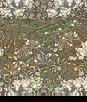 Seabrook Designs Ogee Flora Dijon & Sage Wallpaper