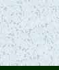 Seabrook Designs Leaf & Berry Powder Blue Wallpaper