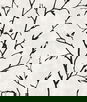 Seabrook Designs Avena Branches Contrast Wallpaper