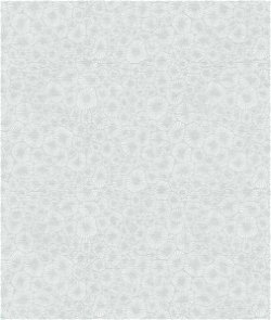 Seabrook Designs Windham Shells Grey Pearl Wallpaper