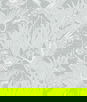 Seabrook Designs Marsh Cranes Mist Wallpaper
