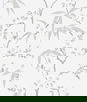 Seabrook Designs Floral Blossom Trail Soft Grey Wallpaper