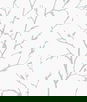 Seabrook Designs Branching Out Slate Blue Wallpaper