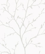 Seabrook Designs Branching Out Winter Grey Wallpaper