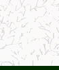 Seabrook Designs Branching Out Winter Grey Wallpaper