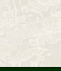 Seabrook Designs Water Lilies Pearlescent Wallpaper