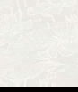Seabrook Designs Water Lilies White Pearl Wallpaper