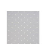 Clarke & Clarke Dotty Grey