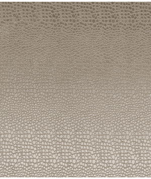 Clarke & Clarke Pulse Ash Fabric