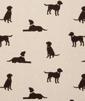 Clarke & Clarke Rover Linen Fabric