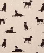 Clarke & Clarke Rover Linen