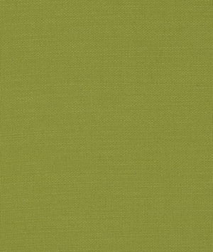 Clarke & Clarke Nantucket Palm Fabric