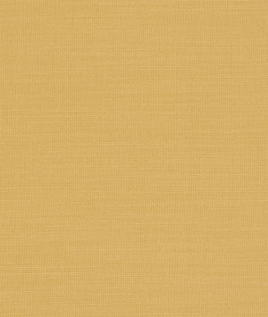 Clarke & Clarke Nantucket Sunflower Fabric