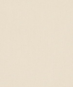 Clarke & Clarke Martinique Ivory Fabric
