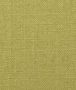 Clarke & Clarke Henley Apple