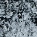 Clarke & Clarke Crush Ash Fabric
