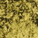 Clarke & Clarke Crush Citrus Fabric