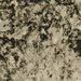 Clarke & Clarke Crush Fern Fabric