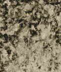 Clarke & Clarke Crush Fern Fabric