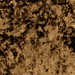 Clarke & Clarke Crush Gold Fabric