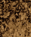 Clarke & Clarke Crush Gold Fabric