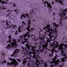 Clarke & Clarke Crush Grape Fabric