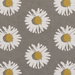 Clarke & Clarke Capri Chartreuse Fabric