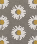 Clarke & Clarke Capri Chartreuse Fabric