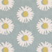 Clarke & Clarke Capri Mineral Fabric