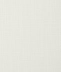 Clarke & Clarke Easton Ivory Fabric