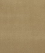 Clarke & Clarke Alvar Ochre
